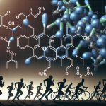 Trenbolone enanthate: a potential doping agent in endurance sports